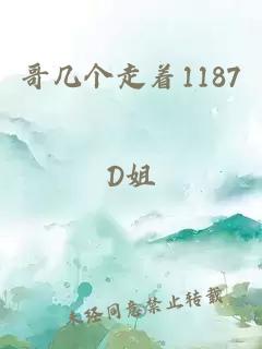 哥几个走着1187