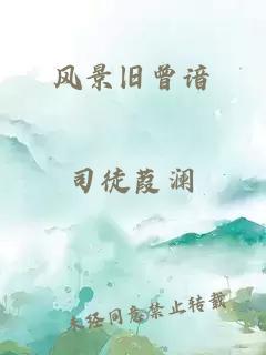 风景旧曾谙