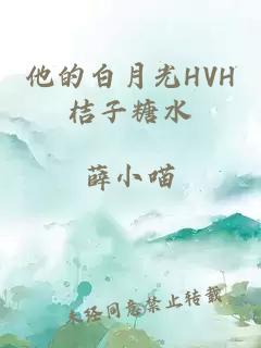 他的白月光HVH桔子糖水