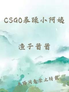 CSGO暴躁小阿姨