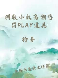 调教小奴高潮惩罚PLAY道具