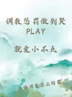 调教惩罚做到哭PLAY