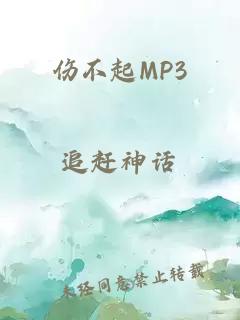 伤不起MP3