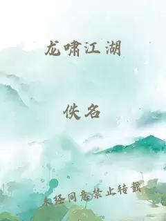 龙啸江湖