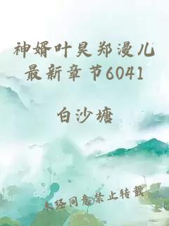 神婿叶昊郑漫儿最新章节6041