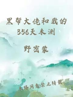 黑帮大佬和我的356天未测