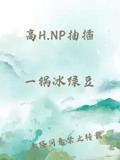 高H.NP抽插