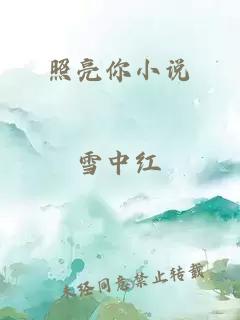 照亮你小说