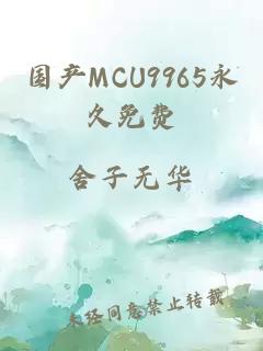 国产MCU9965永久免费