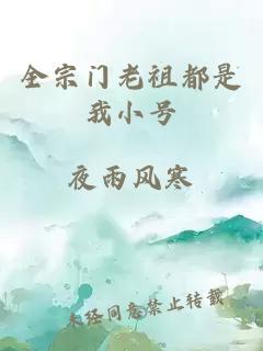 全宗门老祖都是我小号