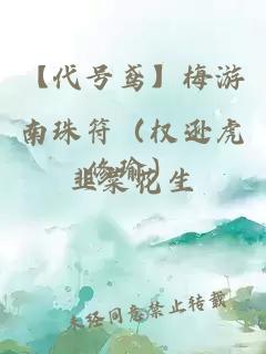 【代号鸢】梅游南珠符（权逊虎修瑜）