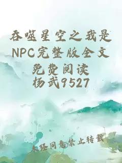 吞噬星空之我是NPC完整版全文免费阅读