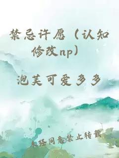 禁忌许愿（认知修改np）