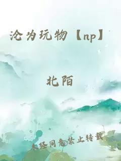 沦为玩物【np】