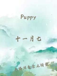 Puppy