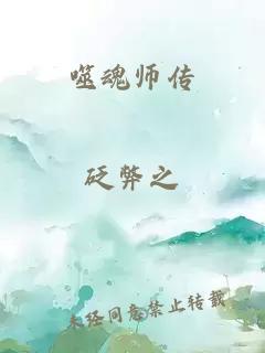 噬魂师传