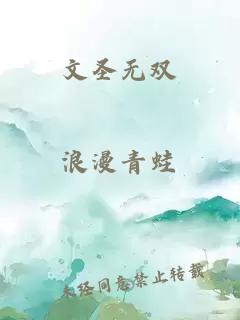 文圣无双