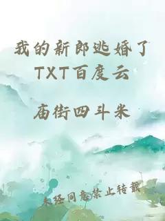 我的新郎逃婚了TXT百度云