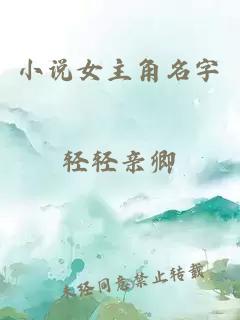 小说女主角名字