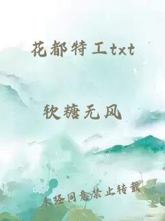 花都特工txt